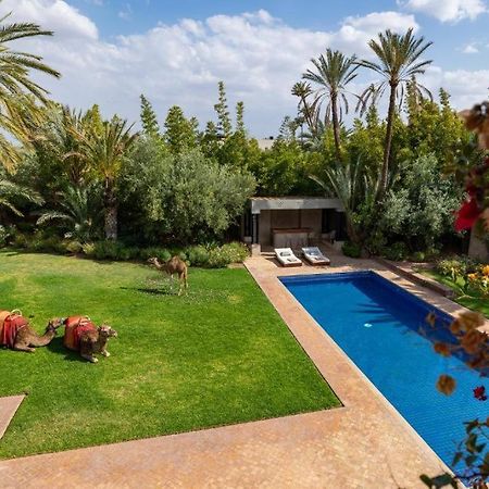 מרקש Villa Sahar Palmeraie Avec Piscine Chauffee ! מראה חיצוני תמונה