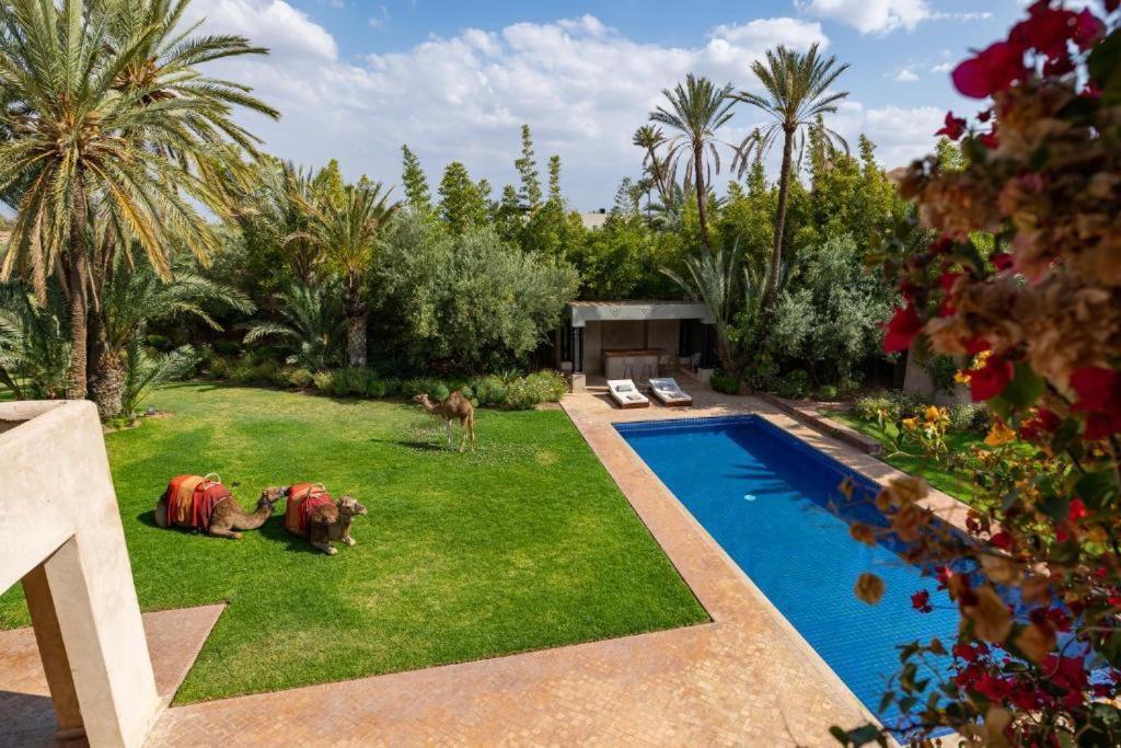 מרקש Villa Sahar Palmeraie Avec Piscine Chauffee ! מראה חיצוני תמונה